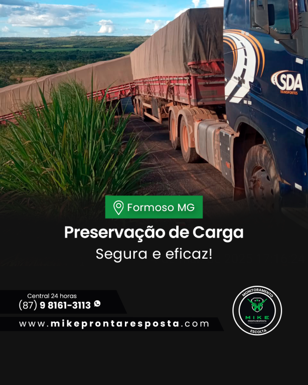 Preservação de Carga em Formoso MG